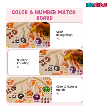 Magnetic Squirrel Feeding